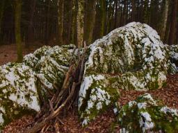 machova-pot-79