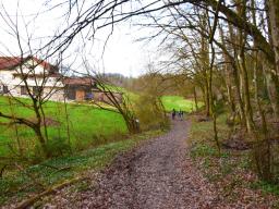 machova-pot-80
