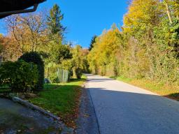 srajbarski-turn-28