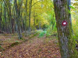 veliki-cirnik-15