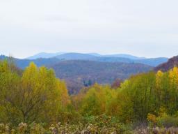 veliki-cirnik-40