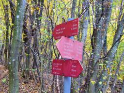 veliki-cirnik-41