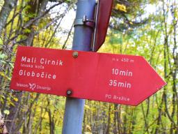 veliki-cirnik-43