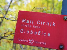 veliki-cirnik-47