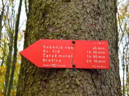 veliki-cirnik-58