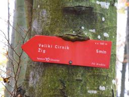veliki-cirnik-59