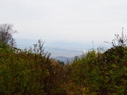 veliki-cirnik-64