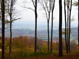 veliki-cirnik-65