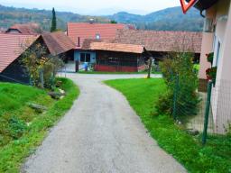 veliki-cirnik-77
