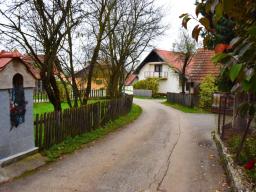 veliki-cirnik-81